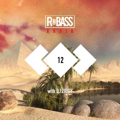 RnBass Radio Episode #12 w/ J Maine + DJ Ziggy