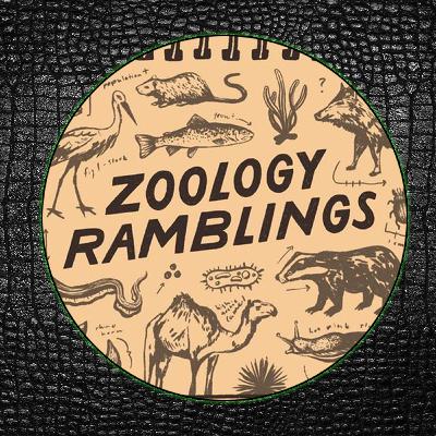 ReptiChat #Ep51 - Rewilding Britain with Emma and Robi of Zoology Ramblings Podcast