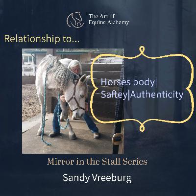 Mirror in the Stall Series: Sandy Vreeburg Horses Body|Safety|Authenticity