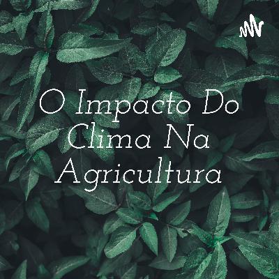 O Impacto do Clima na Agricultura O Impacto do Clima na Agricultura