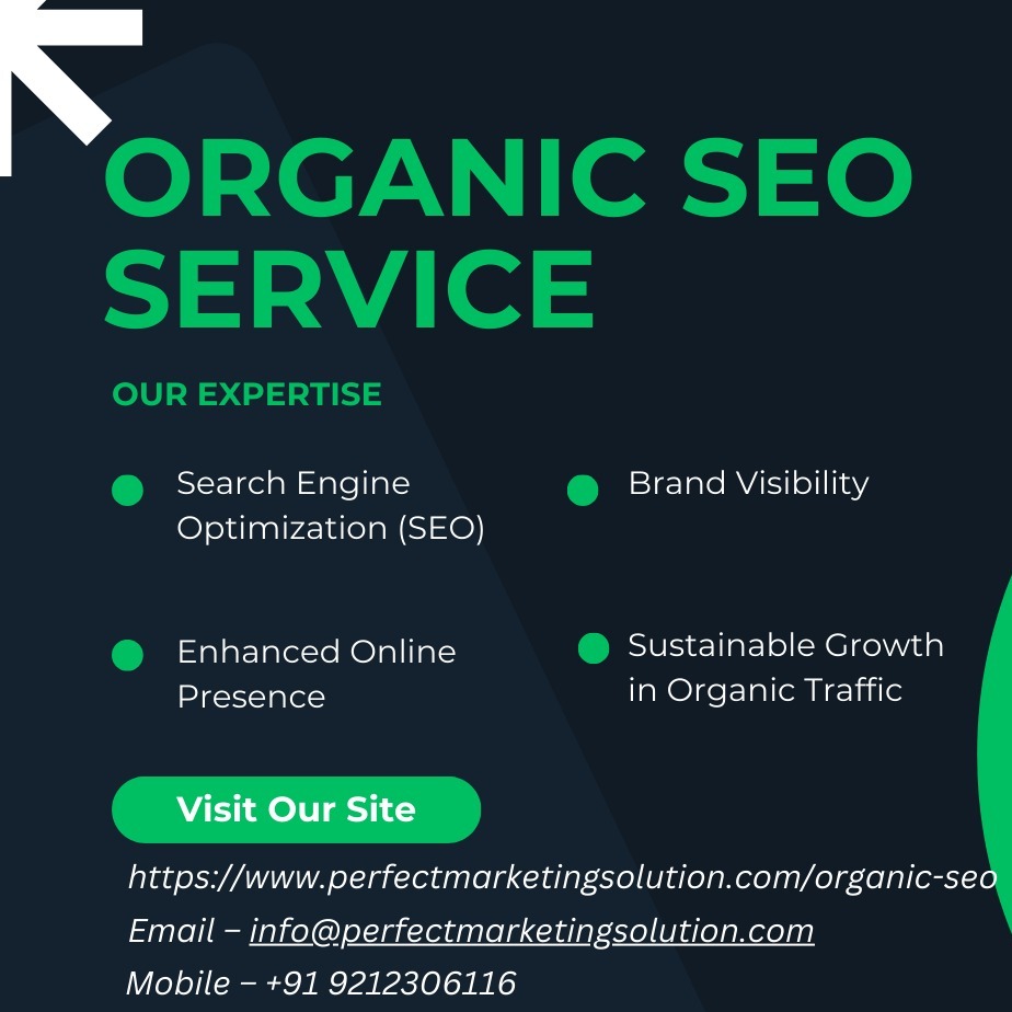 seo for  small  businesses (2)