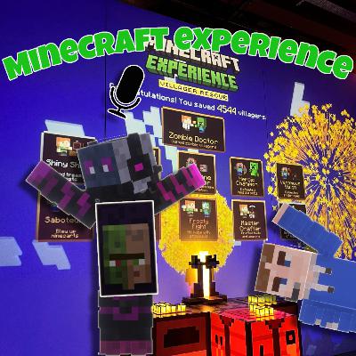 Minecraft Experience