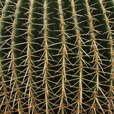 Prima volta-parte 2: fa male?