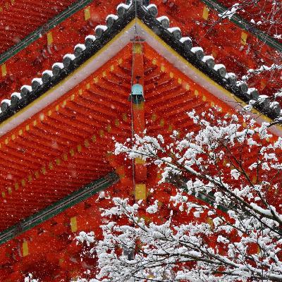 日本企业老板的收入到底有多高