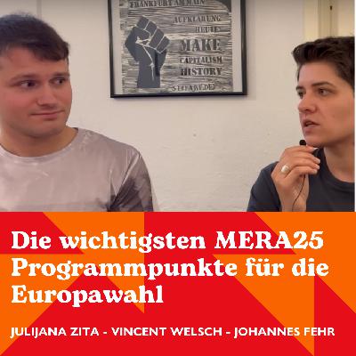 Zusammengefasst: Die wichtigsten MERA25 Programmpunkte für die Europawahl