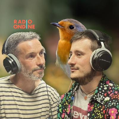 Photographe Naturaliste : Un amoureux de la nature, passionné des petites et des grandes bêtes.