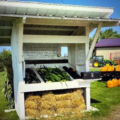 140 Sail Amsterdam en de Amerikaanse  ere-code.