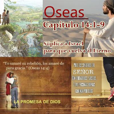 15-Súplica a Israel para que vuelva al Eterno .mp3 15-Súplica a Israel para que vuelva al Eterno .mp3