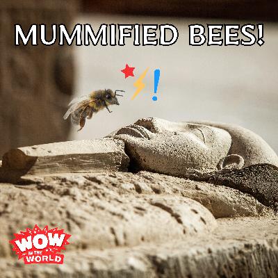 Mummified Bees!