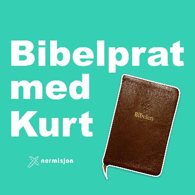 Johannes Åpenbaring kapittel 11
