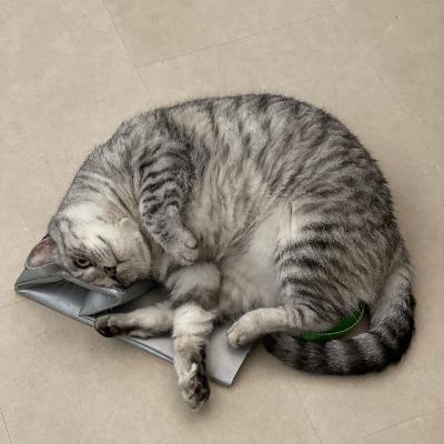 购物欲总是在大促结束之后燃起 购物欲总是在大促结束之后燃起