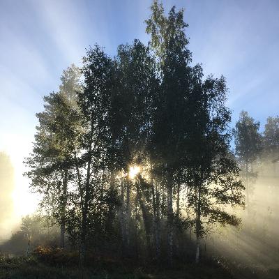 Innere Stille finden - Teil 3