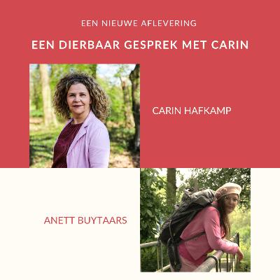 #42 je zoon verliezen aan zelfdoding: in gesprek met Anett Buytaers