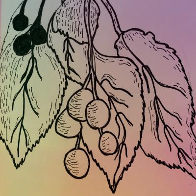 Uno dobla lo que le da la mente