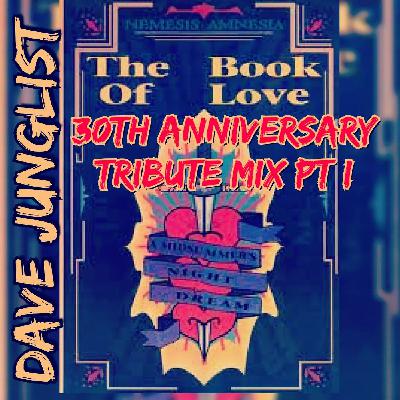 Amnesia House  - The Book Of Love 30th Anniversary Tribute Mix Pt I