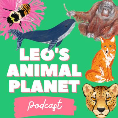 Leo's Animal Planet Podcast - Introduction