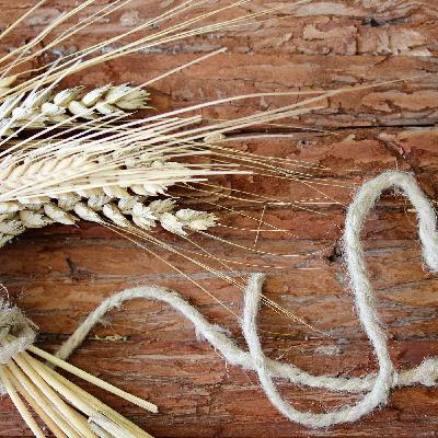 Ecco le fibre che abbassano meglio il colesterolo