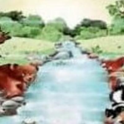 La contaminacion del aire