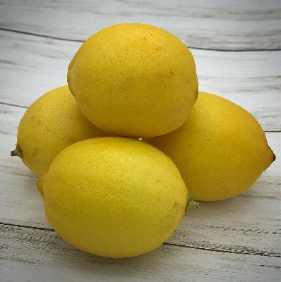 Diets and How To Really Stay Healthy with Jessica Lemmon Part 2