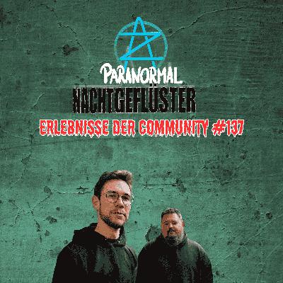 Nachtgeflüster #137 - Erlebnisse der Community