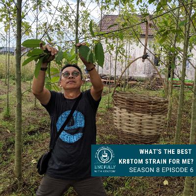 What's The Best Kratom Strain For Me?