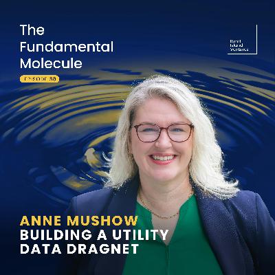 Anne Mushow - Building a Utility Data Dragnet