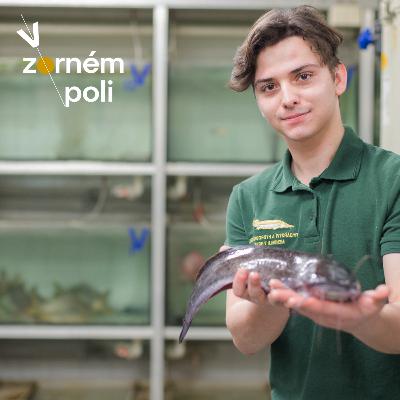 Udržitelný chov ryb s Lukášem Harabišem