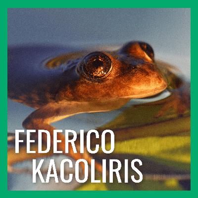 Argentina's El Rincón Stream Frog Finds its Biggest Champion