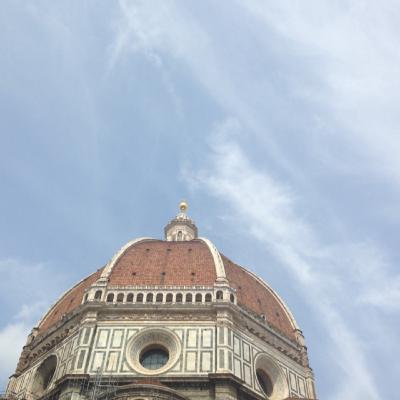 8. Visita a la Academia y la Plaza del Duomo 8. Visita a la Academia y la Plaza del Duomo