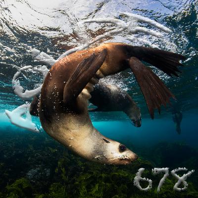 Al Otro Lado del Espejo#678-22-11-25