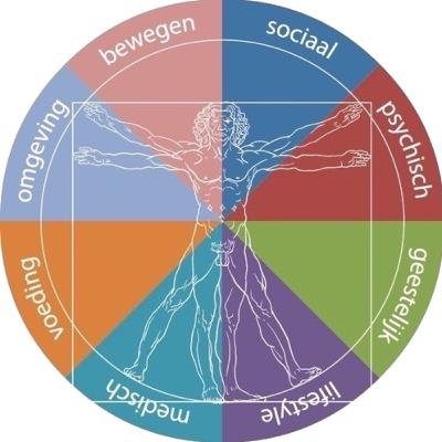 Hoe ziet VITEX ‘Trainen’ en het belang van aandacht. Hoe ziet VITEX ‘Trainen’ en het belang van aandacht.