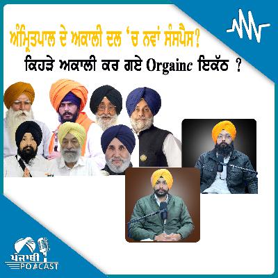 ਅੰਮ੍ਰਿਤਪਾਲ ਦੇ ਅਕਾਲੀ ਦਲ ‘ਚ ਨਵਾਂ ਸੰਸਪੈਸ? ਕਿਹੜੇ ਅਕਾਲੀ ਕਰ ਗਏ Organic ਇਕੱਠ ?| EP 219 | Punjabi Podcast