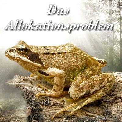 Das Allokationsproblem Das Allokationsproblem