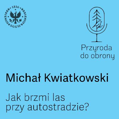 Jak brzmi las przy autostradzie? Jak brzmi las przy autostradzie?