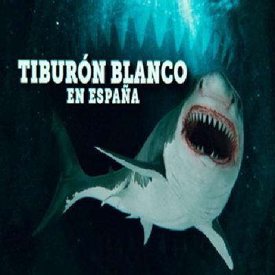 Cuarto Milenio: Tiburón blanco en España Cuarto Milenio: Tiburón blanco en España
