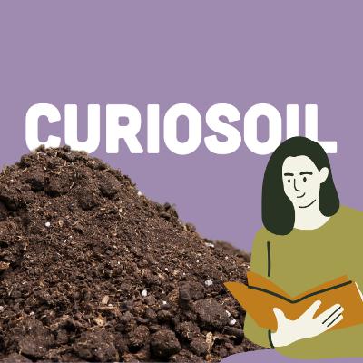 CURIOSOIL: Awakening Soil Curiosity