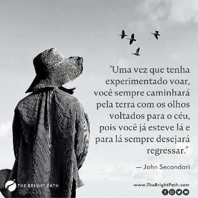 O Impulso de Voar...