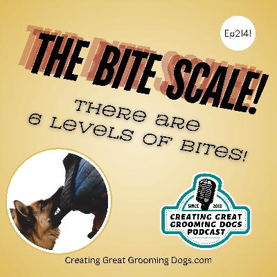 The Bite Scale Ep214 The Bite Scale Ep214