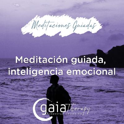 Meditación guiada inteligencia emocional Meditación guiada inteligencia emocional
