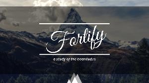 Fortify: Week 1