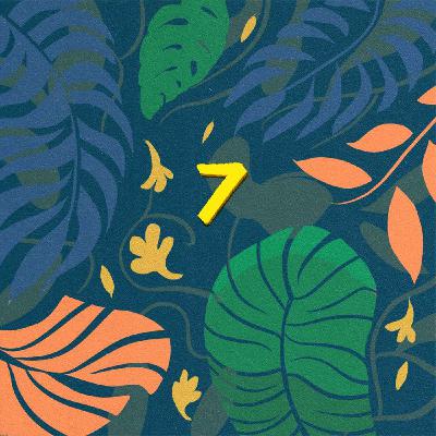 Episodio 7: Timón de profundidad