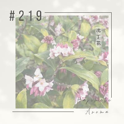 第２１９ 話 /  沈丁花