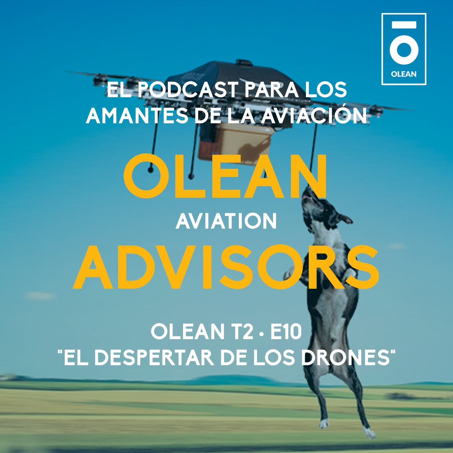 T2 · E10 - El despertar de los drones episode artwork