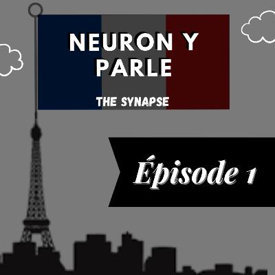 Neuron y Parle - Épisode 1 - Deux expériences révolutionnaires en psycho