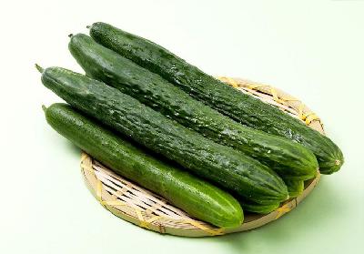 黄瓜