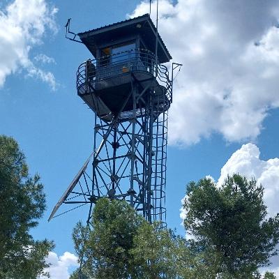 Escribano Palustre - Cuidado con el fuego - 04/08/25