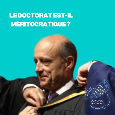 Q9D15 - Le doctorat est-il méritocratique ? feat l'Observatoire des Violences Sexistes et Sexuelles dans l'enseignement supérieur (2ème partie) Q9D15 - Le doctorat est-il méritocratique ? feat l'Observatoire des Violences Sexistes et Sexuelles dans l'enseignement supérieur (2ème partie)