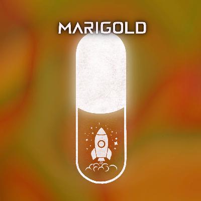 Marigold