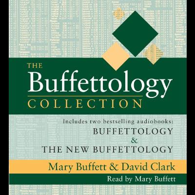 Buffettology: Warren Buffett's Investing Techniques, Book Overview