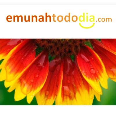 Perfeitamente Acolchoado MIN HASHAMAYIM! - #9 Perfeitamente Acolchoado MIN HASHAMAYIM! - #9